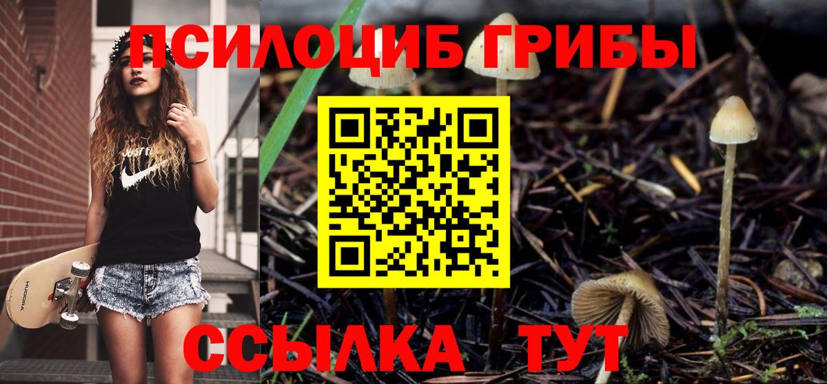 Галлюциногенные грибы MAGIC MUSHROOMS Ипатово