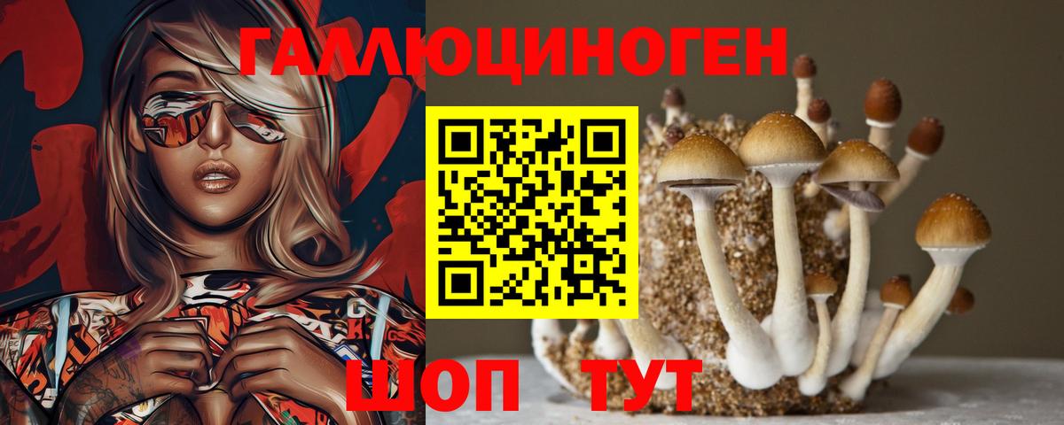Псилоцибиновые грибы мухоморы  Вход с VPN  Ипатово  сколько стоит  Псилоцибиновые грибы MAGIC MUSHROOMS 